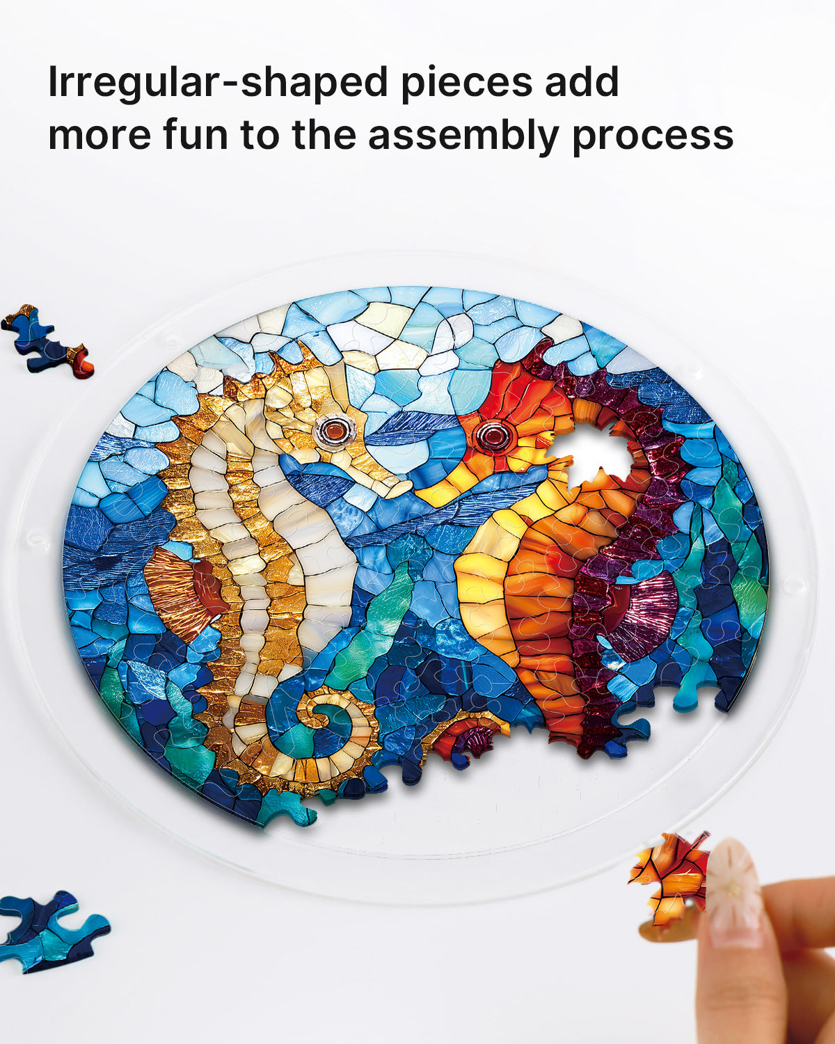 kaayee-dreamy-seahorses-suncatcher-acryl-medium-20-8-cm image 2