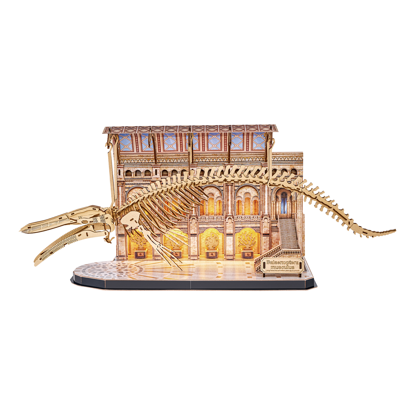 cubic-fun-museum-collection-l545h-blauwal-3d-puzzle-skelett image 2