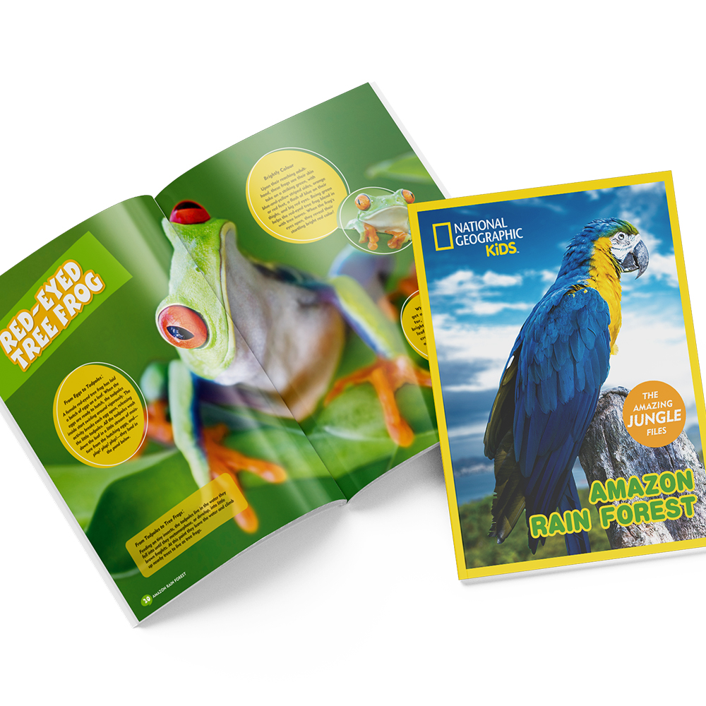 cubicfun-explorer-amazon-rain-forest-ds0979h-3d-puzzle image 3