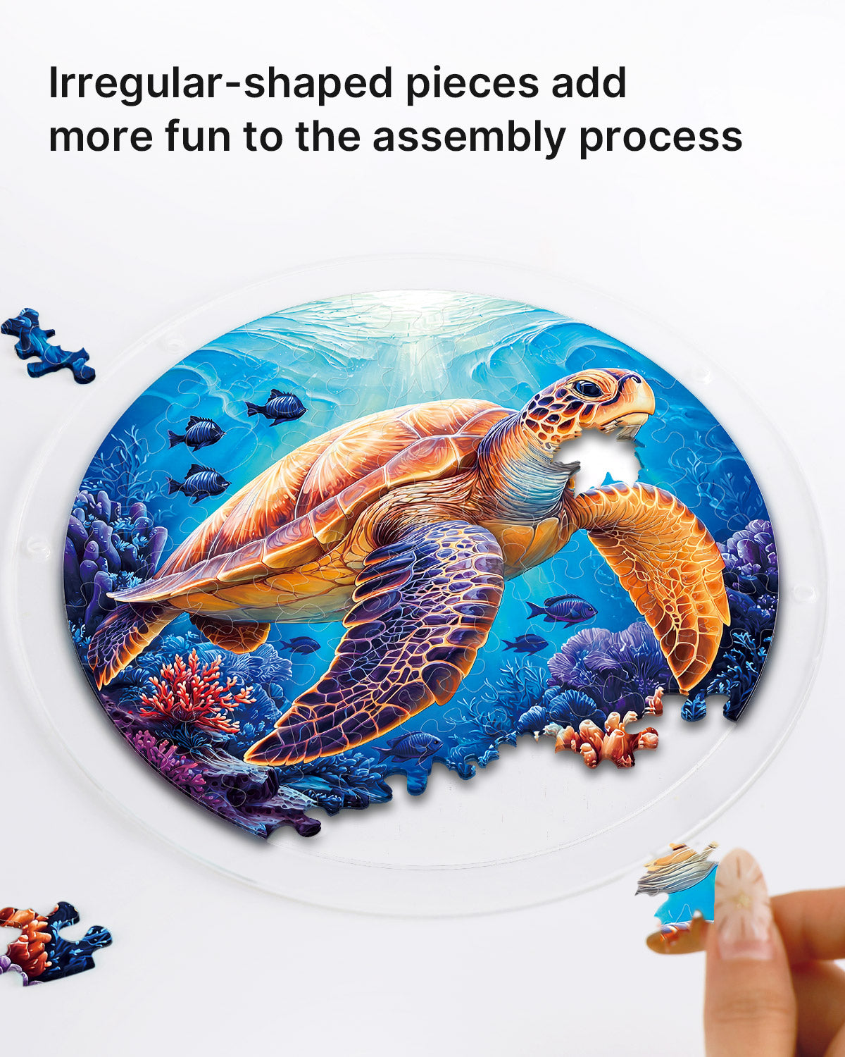 kaayee-suncatcher-puzzle-starsea-turtle-suncatcher-small image 2