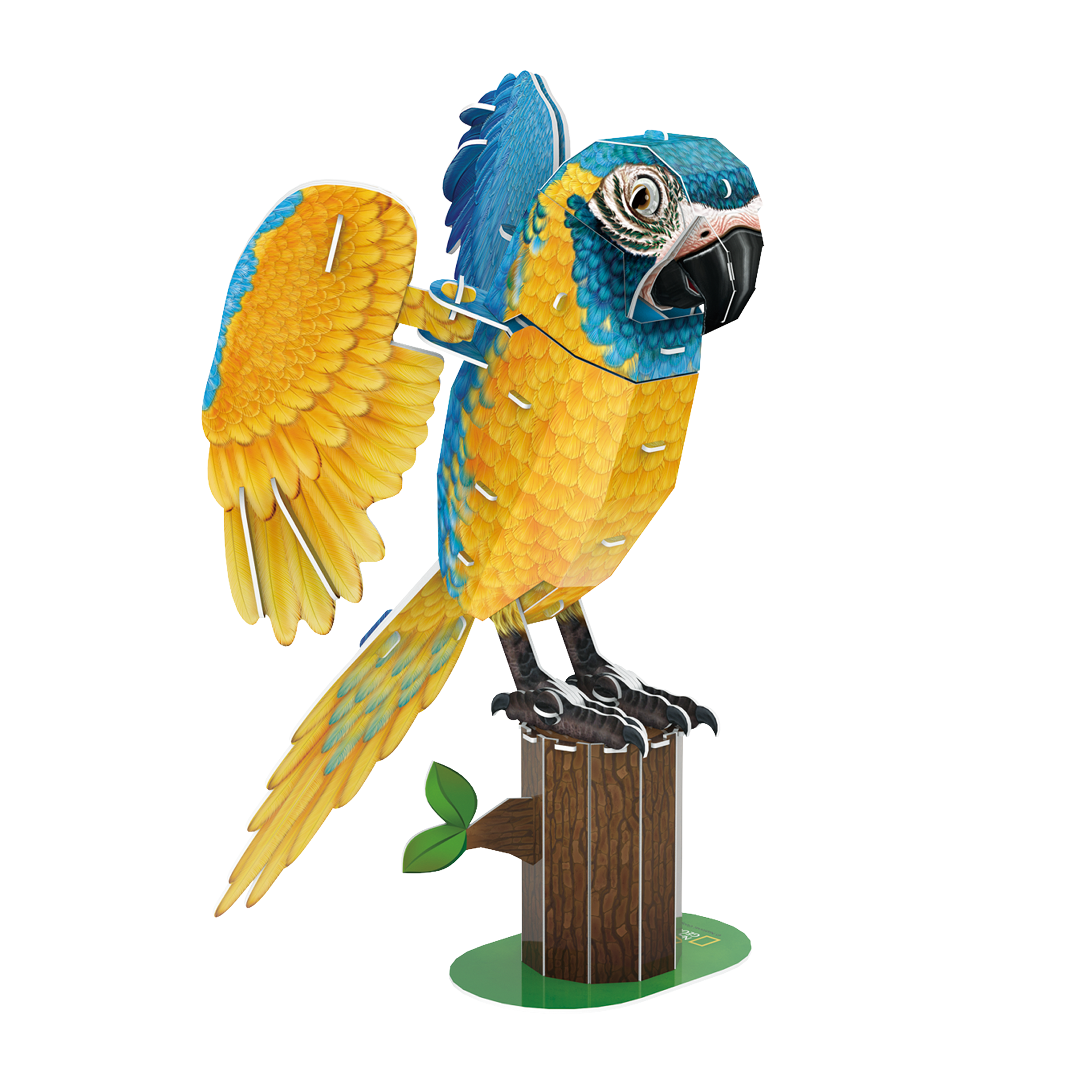 cubicfun-wild-animals-ds1097h-blaukehlara-3d-puzzle-vogel image 2