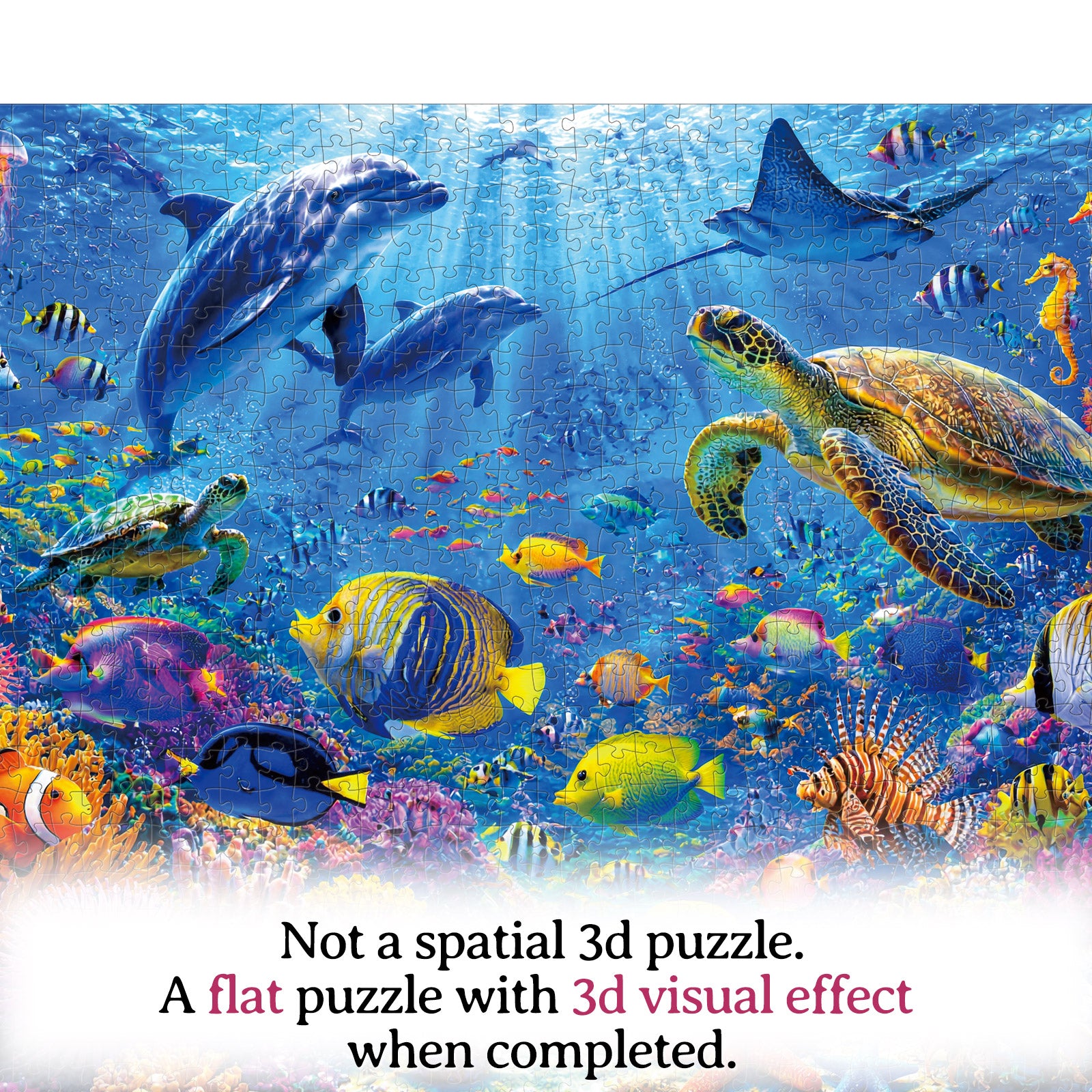kaayee-cardboard-puzzle-coral-reef-wonderland-1000-teile image 8