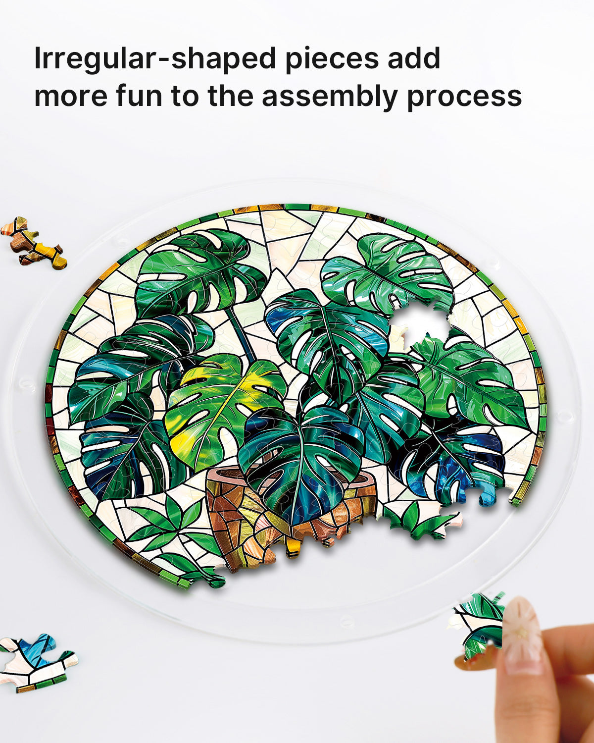 kaayee-suncatcher-puzzle-monstera-fensterbild-medium-acryl image 2