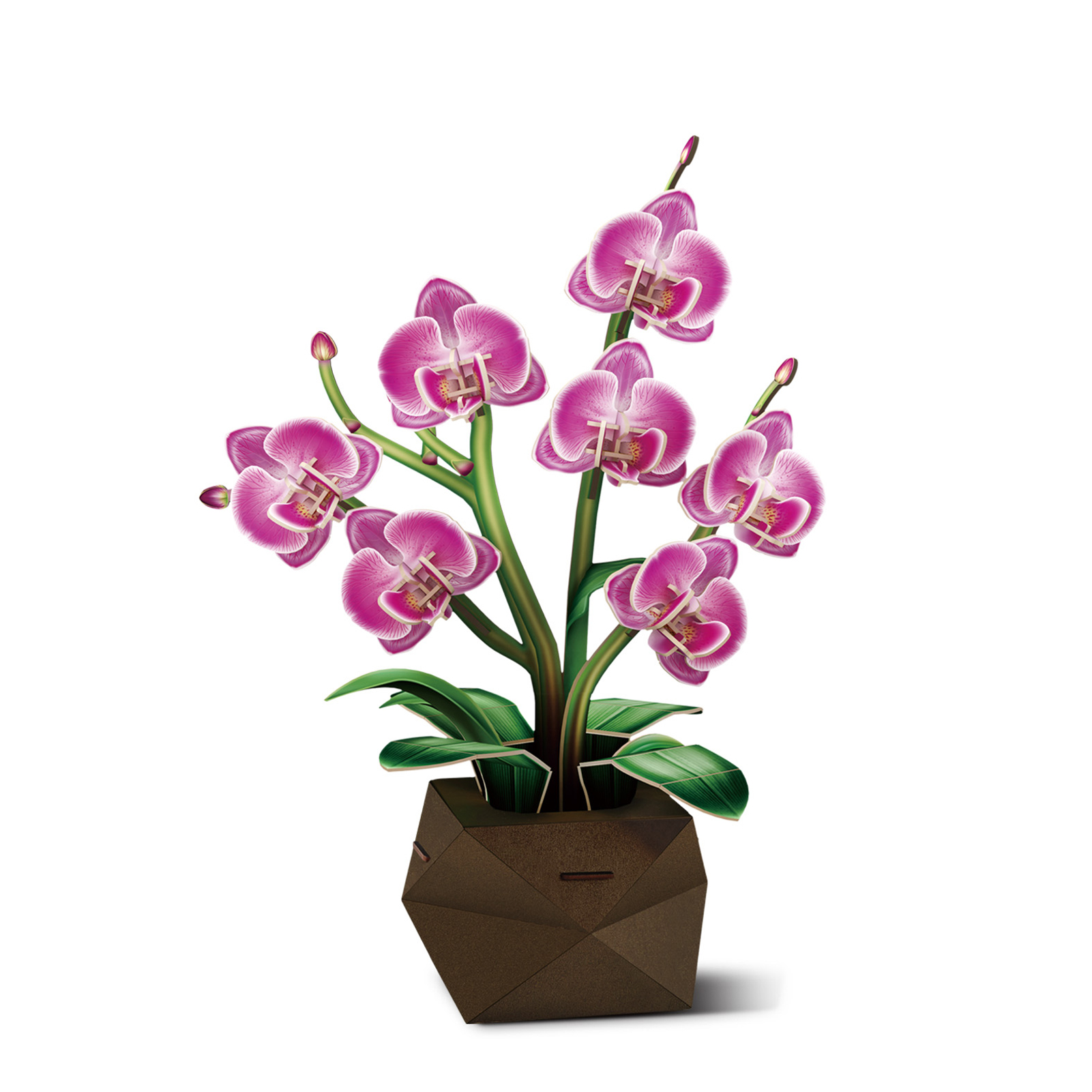 cubicfun-botanical-p872h-orchidee-3d-puzzle-blume image 2