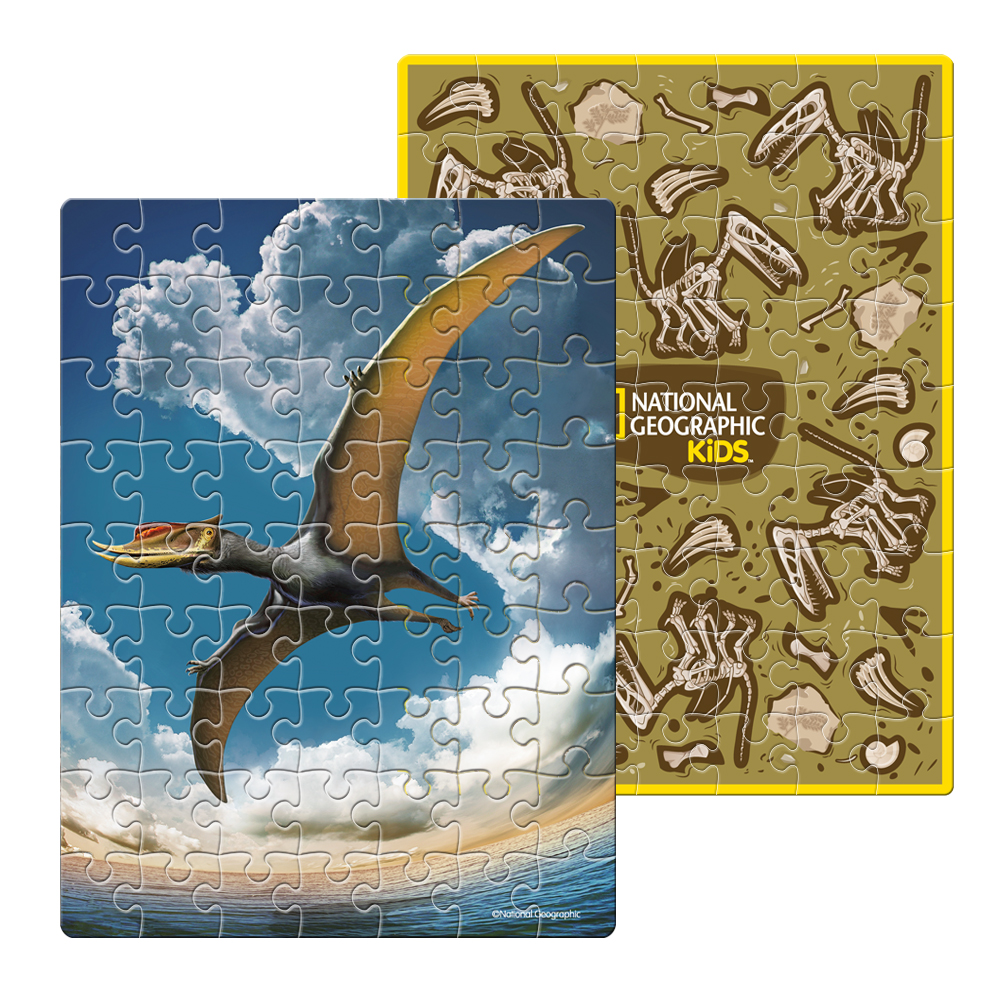 cubicfun-dino-puzzle-ds1044h-pterosaur-ei-3d-puzzle-dino image 3