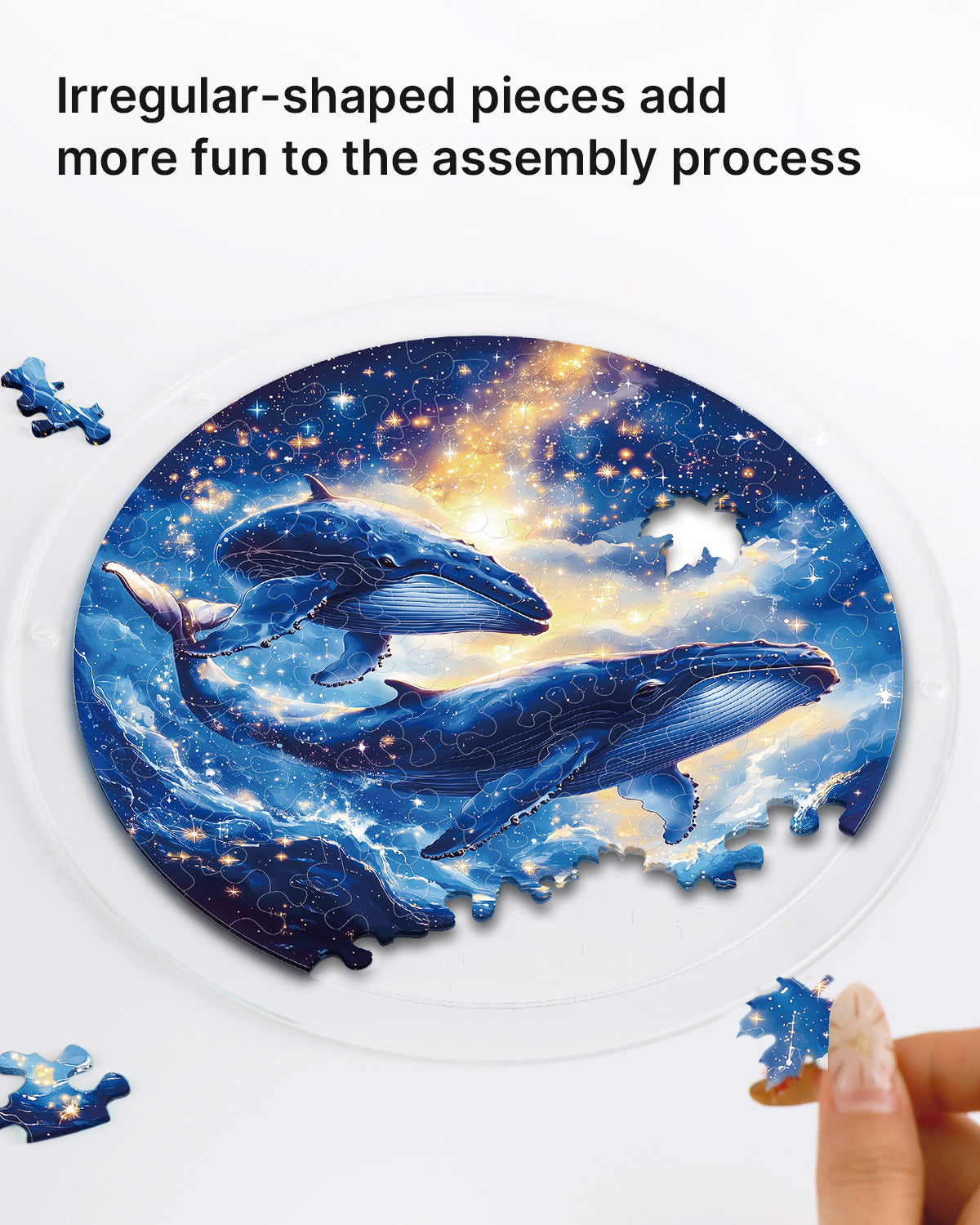 kaayee-twin-whales-cosmos-suncatcher-fensterbild-medium image 2