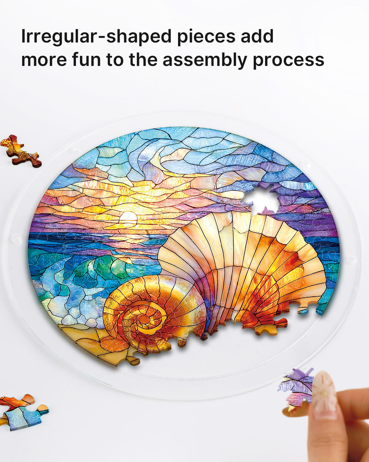 kaayee-suncatcher-puzzle-ocean-echo-shell-light-fensterbild-small image 2
