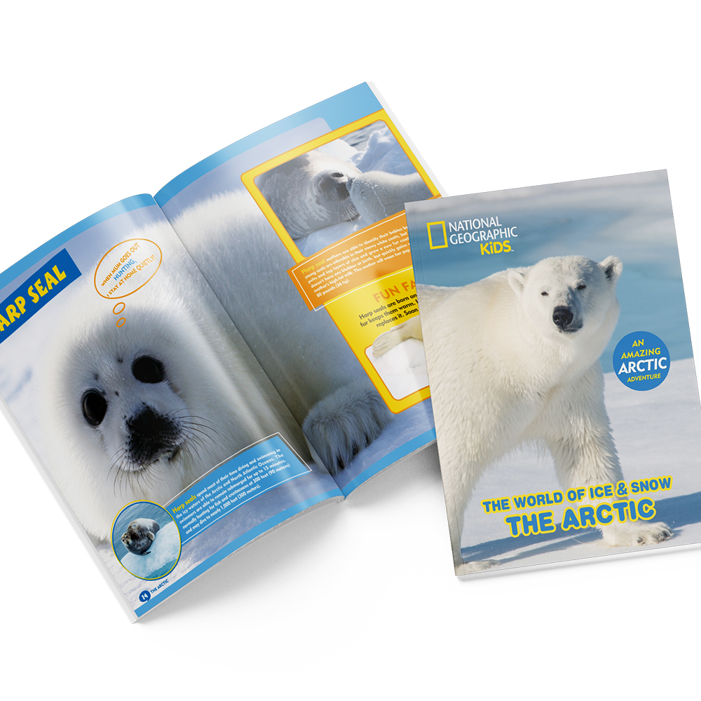 cubicfun-explorer-ds0983h-arktis-eis-schnee-3d-puzzle image 3
