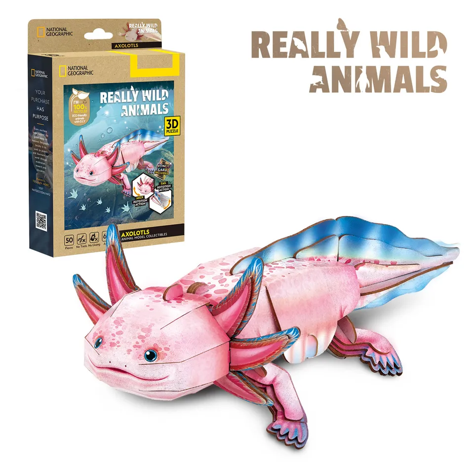 cubicfun-wild-ds1185h-axolotl-3d-puzzle-tiermodell image 1