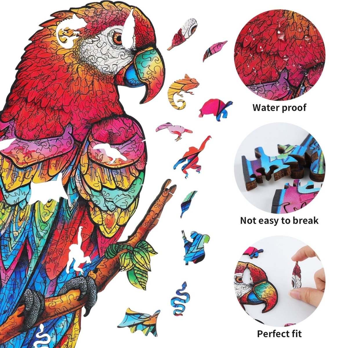 kaayee-wooden-puzzle-lovely-parrot-holzpuzzle-medium image 2