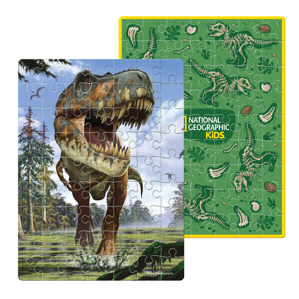 cubicfun-dino-puzzle-ds1041h-tyrannosaurus-rex-ei-puzzle image 3