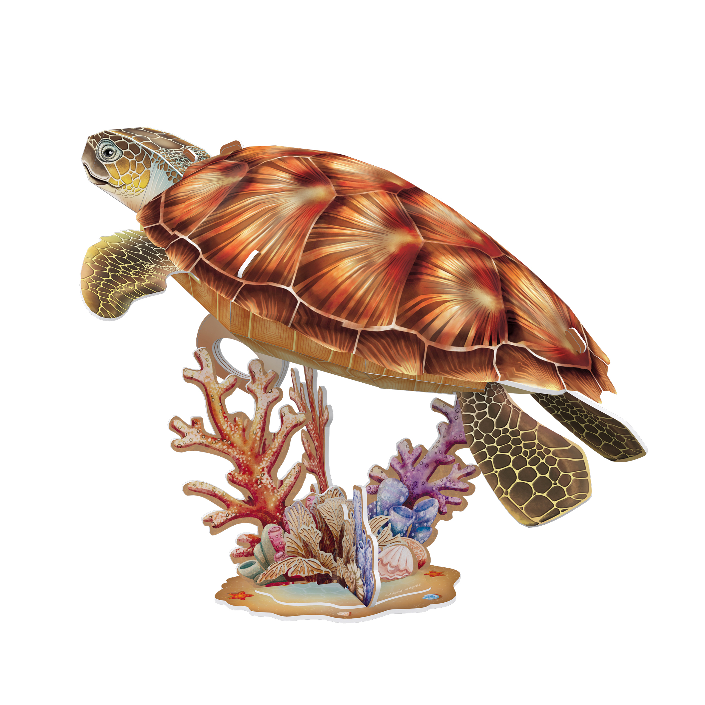 cubicfun-wild-animals-ds1080h-sea-turtle-3d-puzzle-meeresschildkr-te image 2