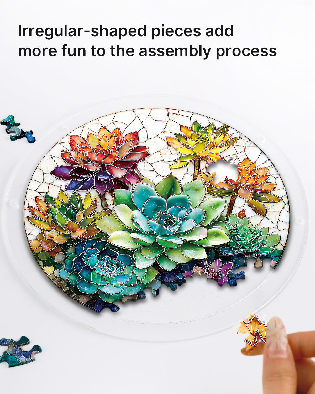 kaayee-suncatcher-succulent-garden-acryl-small-18-8-cm image 2