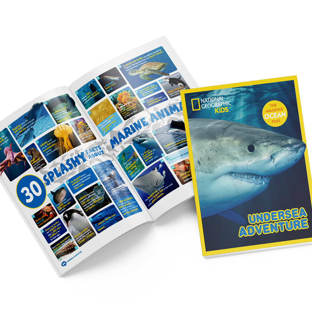 cubic-fun-explorer-ds0974h-undersea-adventure-3d-puzzle image 3