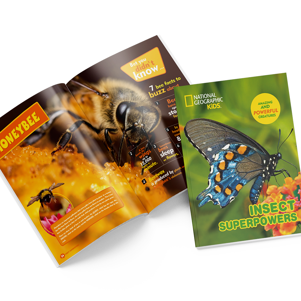 cubic-fun-explorer-ds0982h-insect-superpowers-3d-puzzle image 3