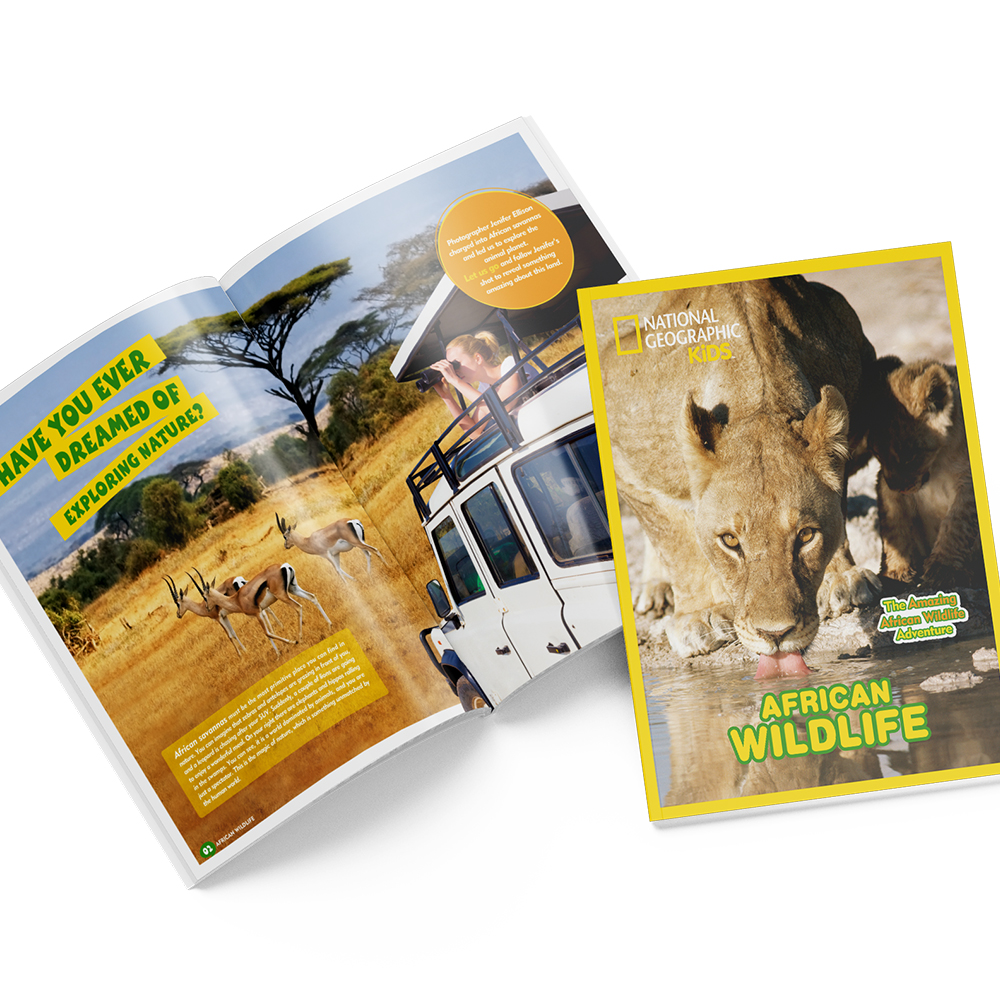 cubic-fun-explorer-ds0972h-african-wildlife-3d-puzzle image 3