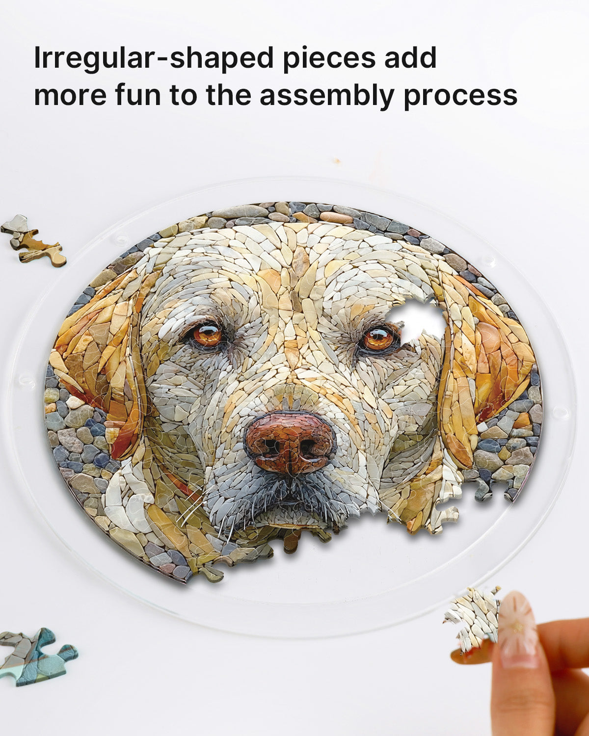 kaayee-suncatcher-puzzle-hund-fensterbild-medium image 2
