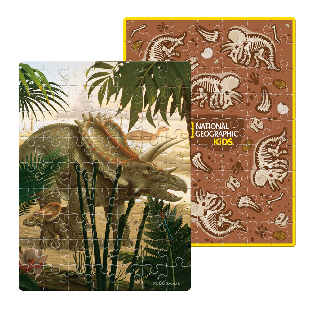 cubicfun-dino-ds1042h-triceratops-ei-3d-puzzle-dinosaurier image 3