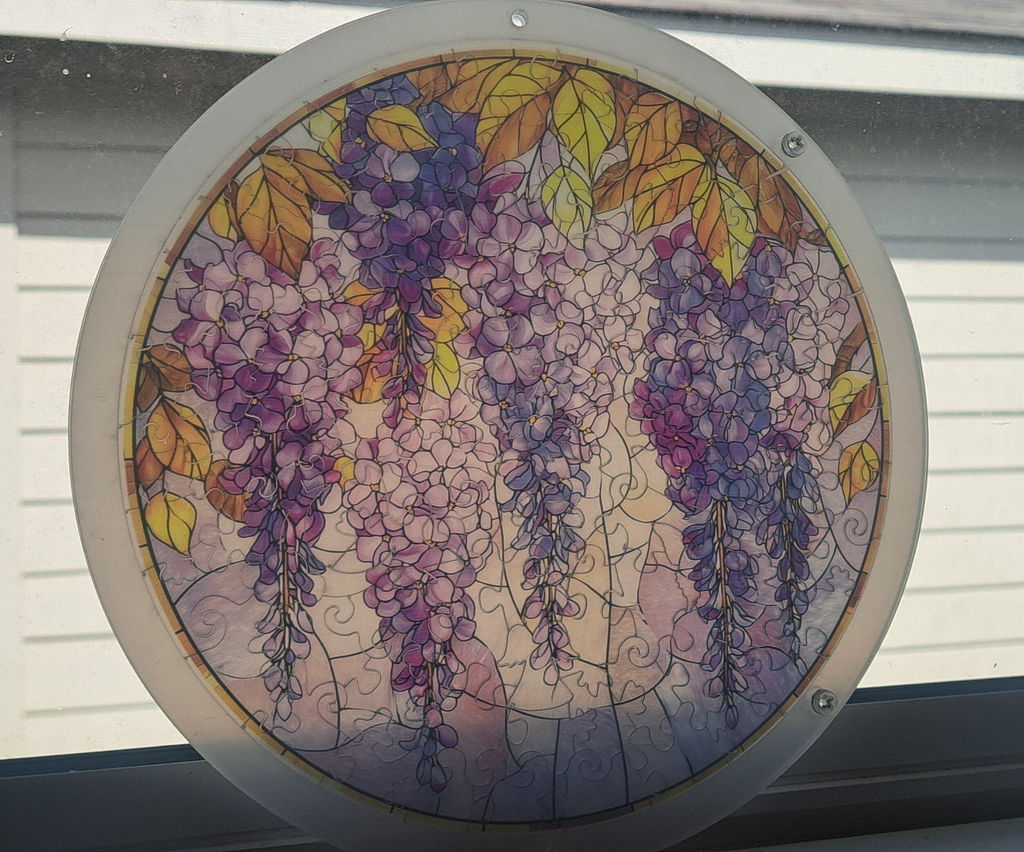 Zart am Fenster