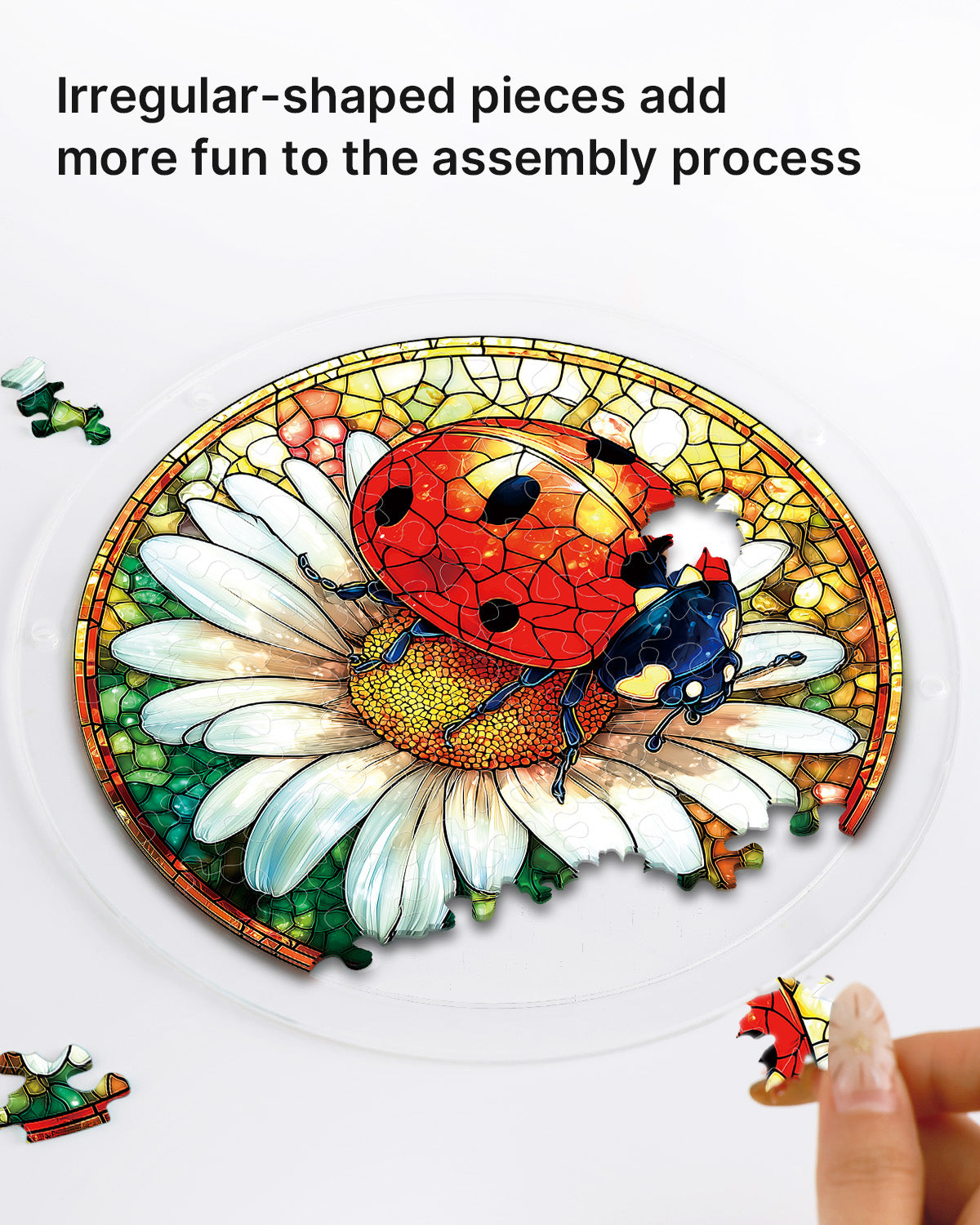 kaayee-suncatcher-ladybug-daisy-fensterbild-m-marienk-fer image 2