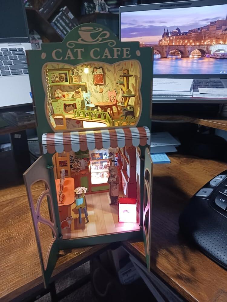 Katzen nett