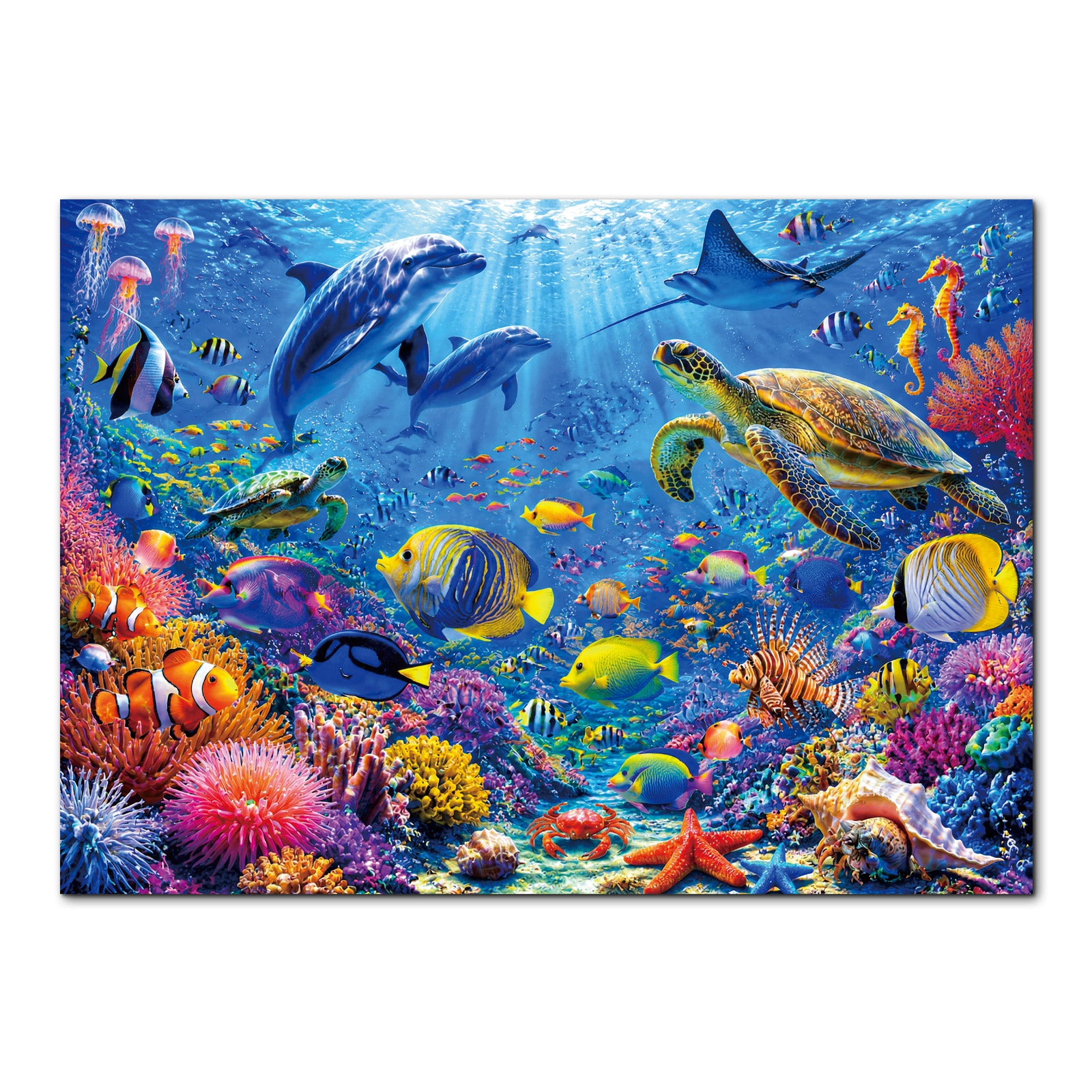 kaayee-cardboard-puzzle-coral-reef-wonderland-1000-teile image 1